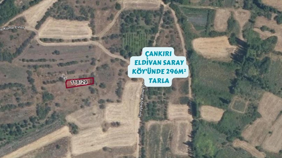 Fotoğraf